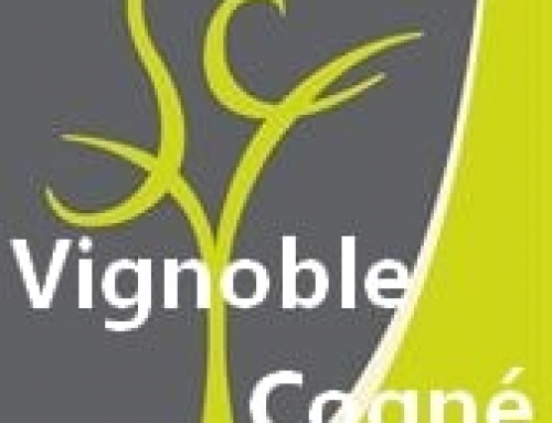 Vignoble Cogné