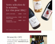 vin cave rochettes restauration barbecue leger prix rouge rose blanc